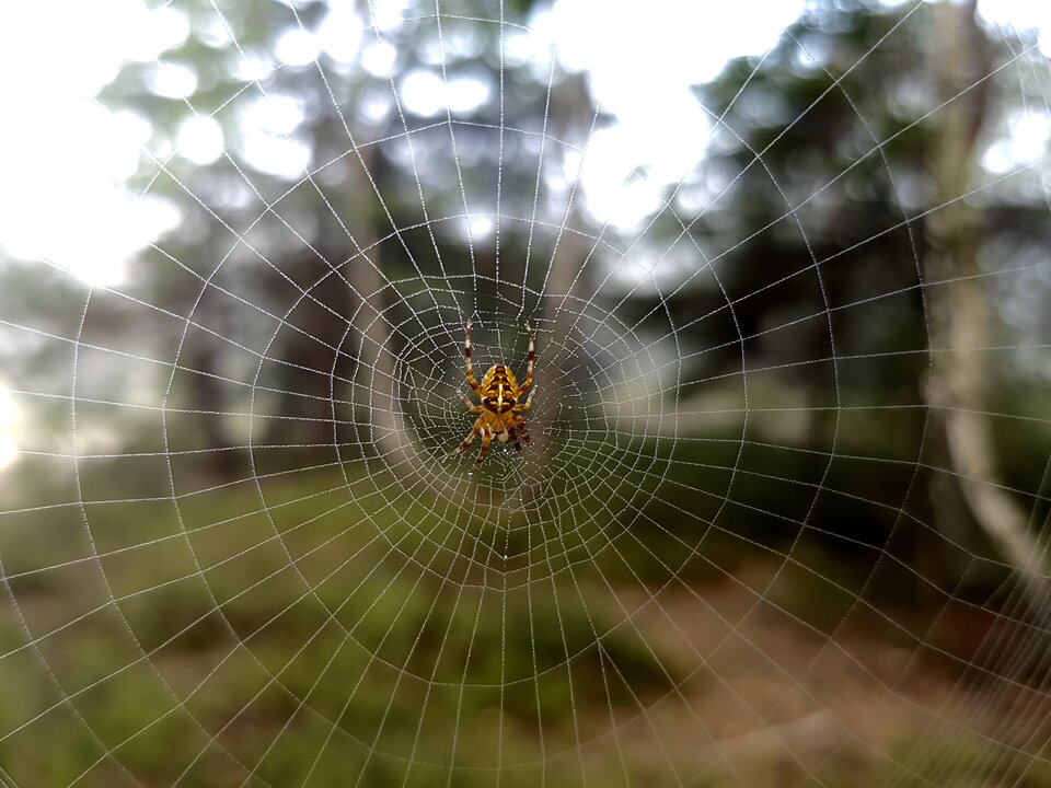 FullSizeRender-5.jpg - destroy