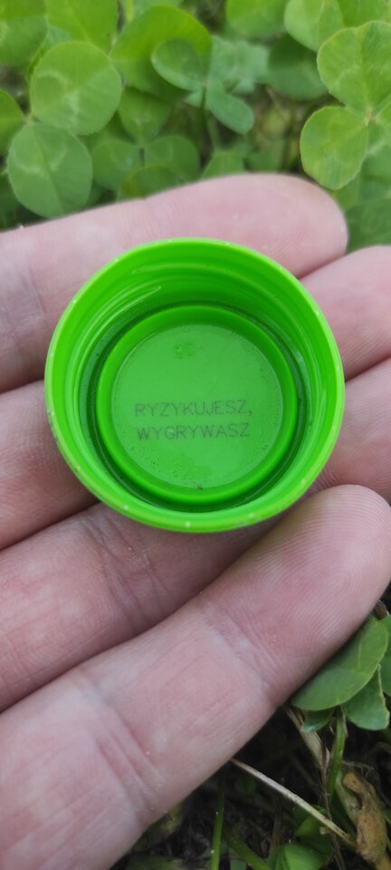 A ty zaryzykujesz ⁉️ - Rozpustnik82