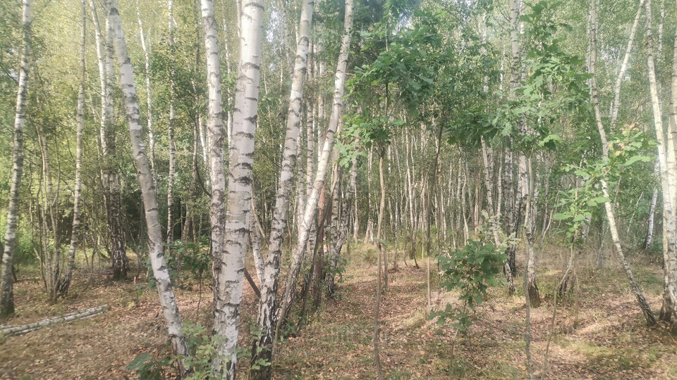 IMG-20230909-WA0014.jpeg - LESNYludek2023