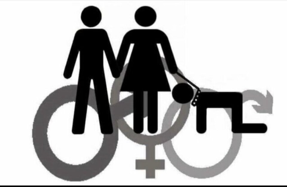 IMG_20230910_102627.jpg - fourfun