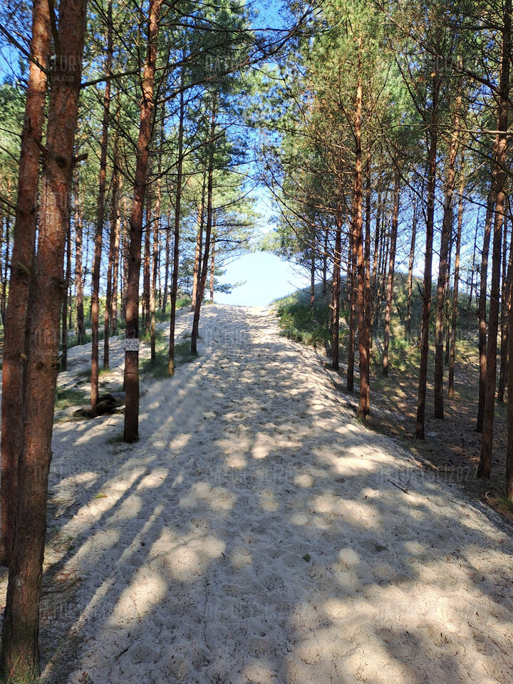 PIASKI🙂🙂 - Naturysci2022