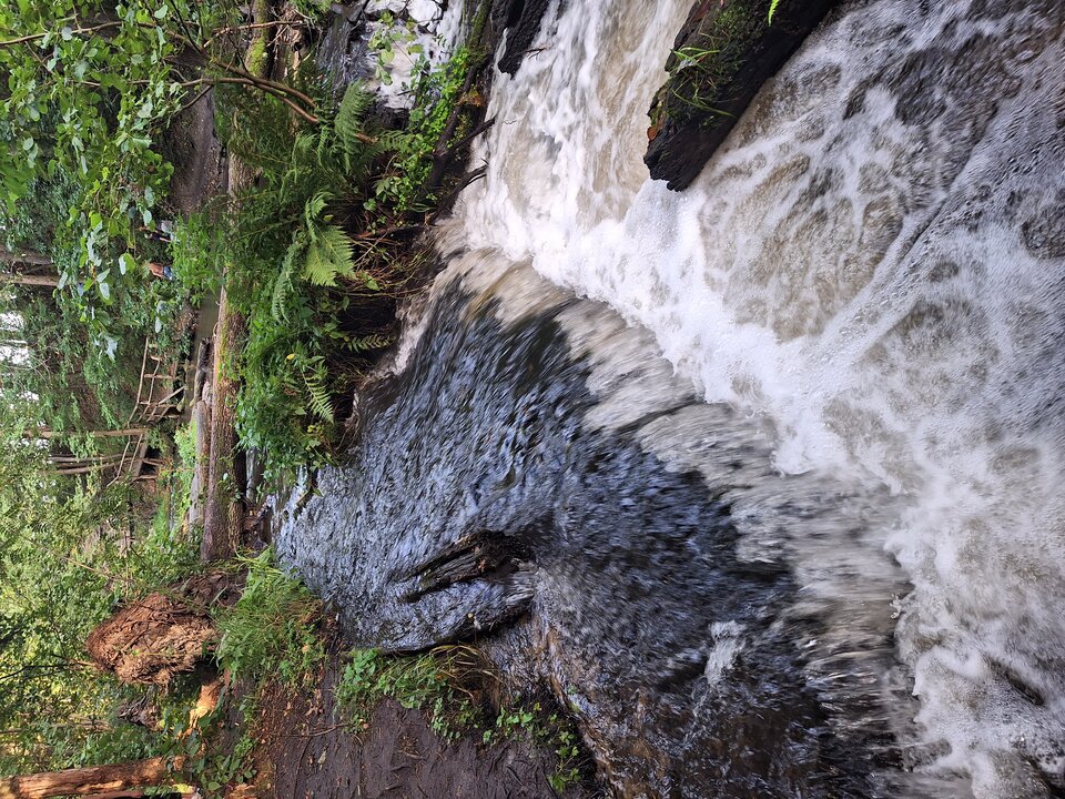 20230827_165948.jpg - Glodnisexu1