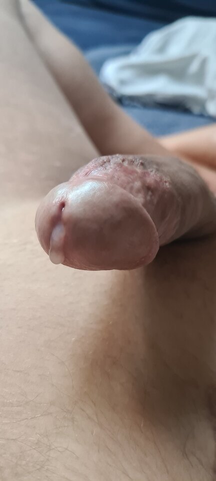 20230910_121113.jpg - kubotar
