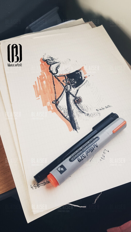 Art. No. 243 - blaise8