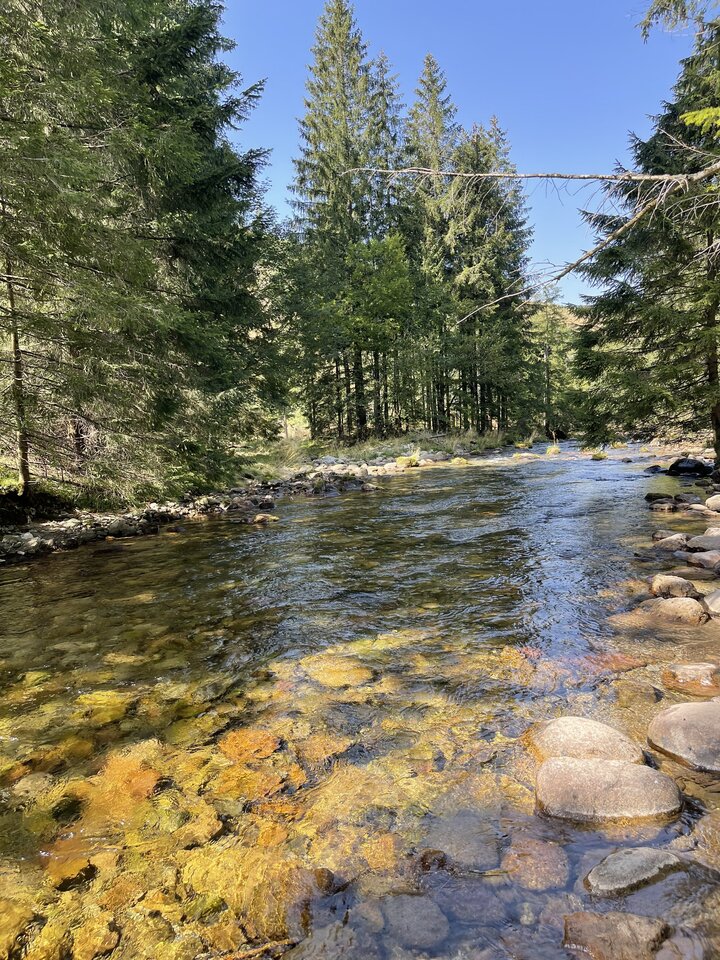 IMG_1128.jpeg - Are_there_impossible_things