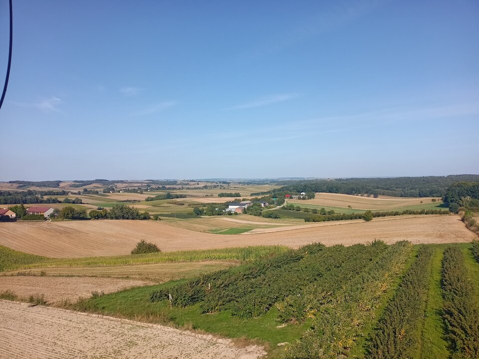 IMG20230910153258.jpg - on68ona73