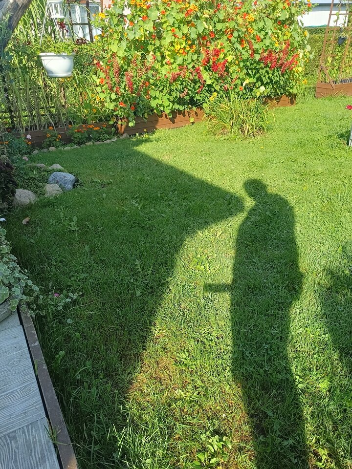 Działka - franek12001