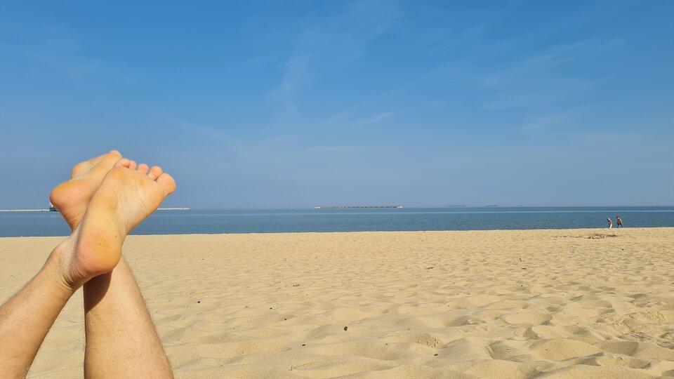 20230911_113016.jpg - 86rafal