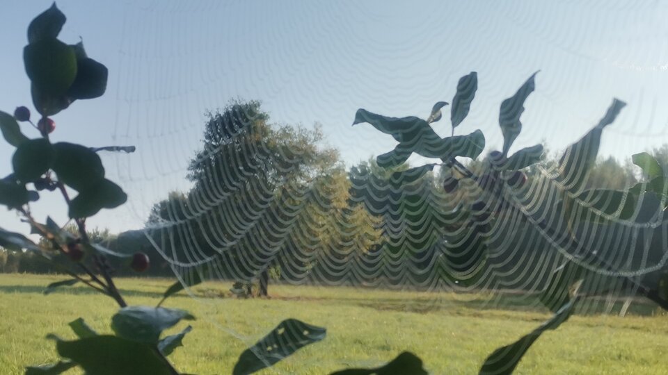 IMG-20230911-WA0012.jpeg - LESNYludek2023