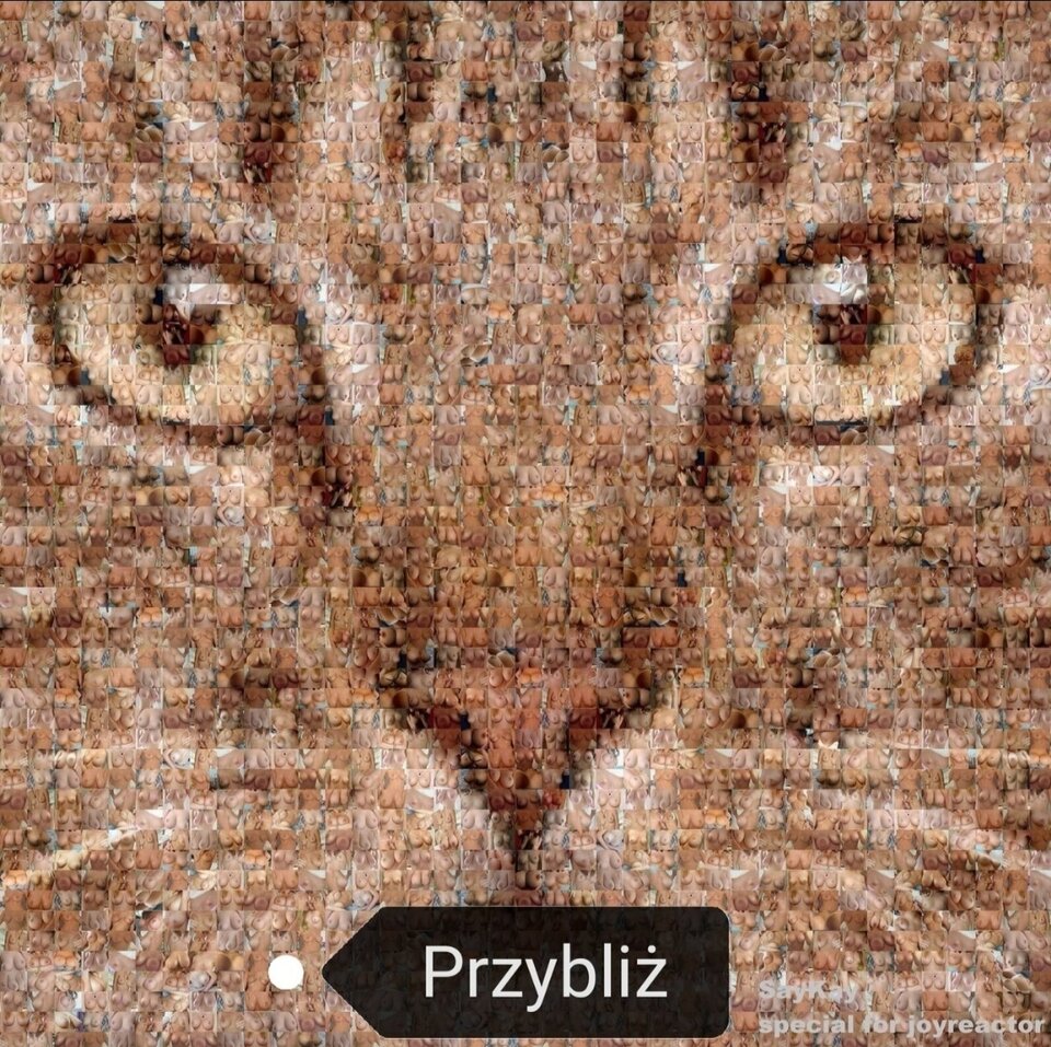 IMG_20200514_185405.jpg - Nicci