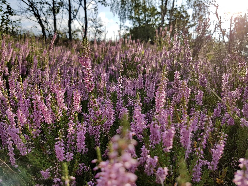 FullSizeRender-3.jpg - destroy