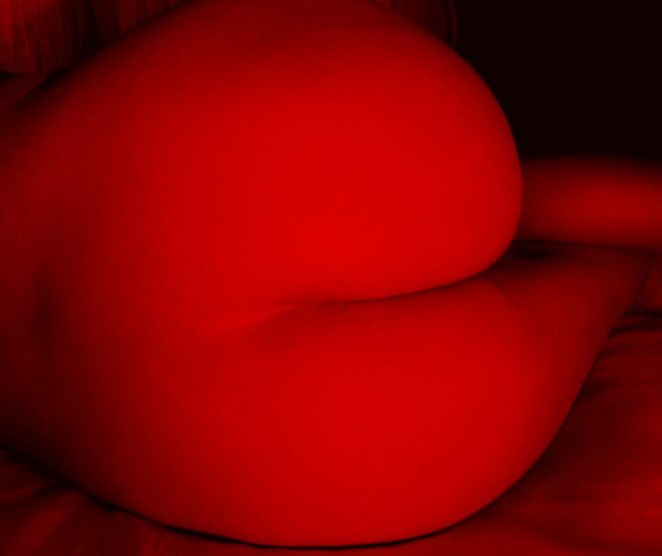 EltsDSCN8040.JPG - ElaElts