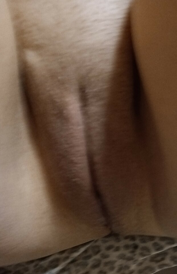 IMG_20230909_080349964.jpg - Parka474