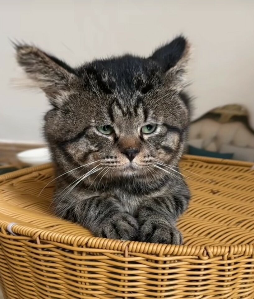 20230909_2137.jpg - Maserati4porte