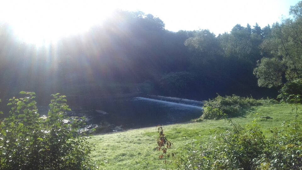 20230908_083325.jpg - HotNick