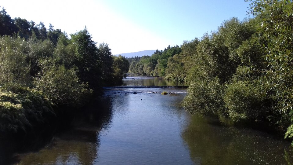 20230908_093854.jpg - HotNick