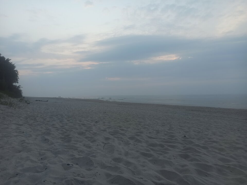 16945383578907274017778039920414.jpg - Donor89