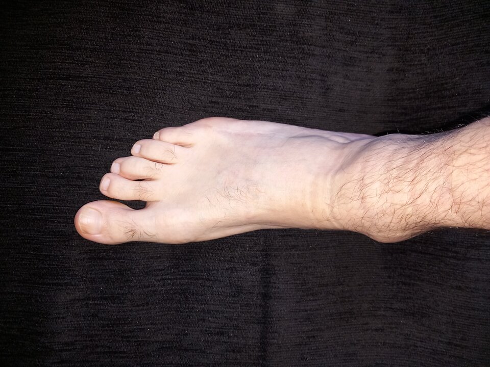 20230913_102303.jpg - adalbertus49