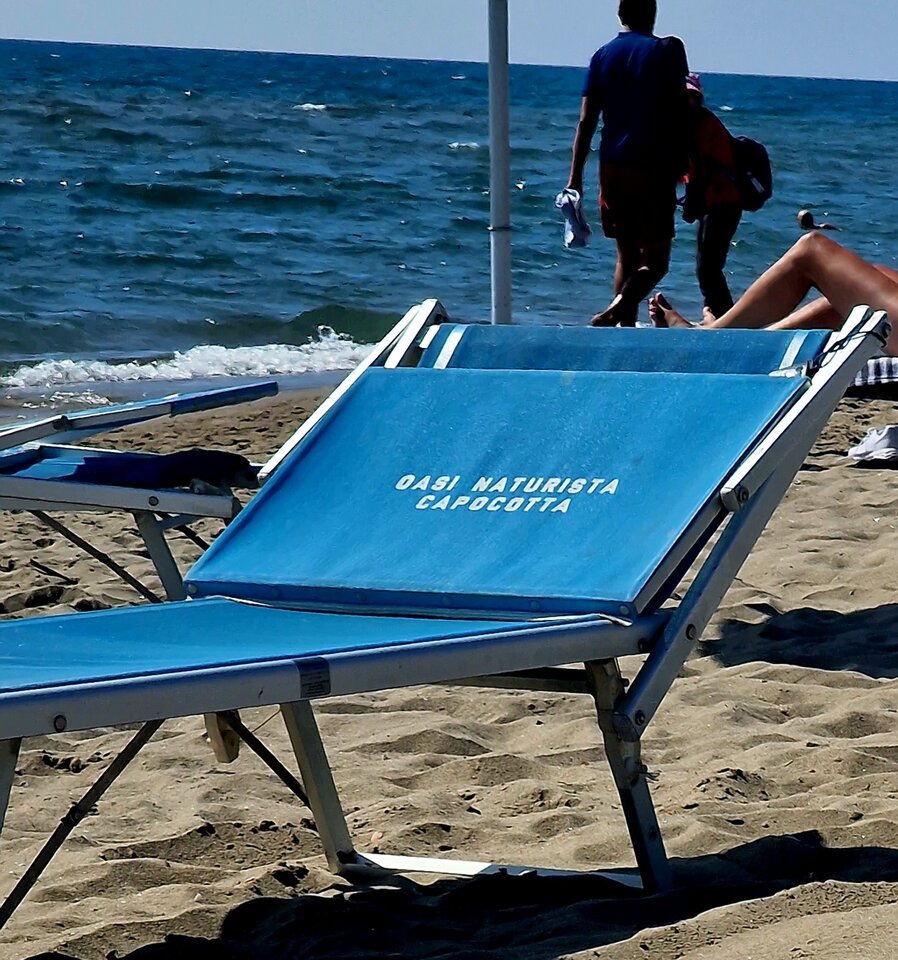 20230912_145725.jpg - parrapod