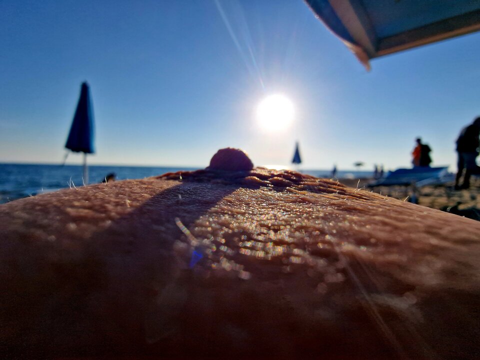 20230912_180204.jpg - parrapod