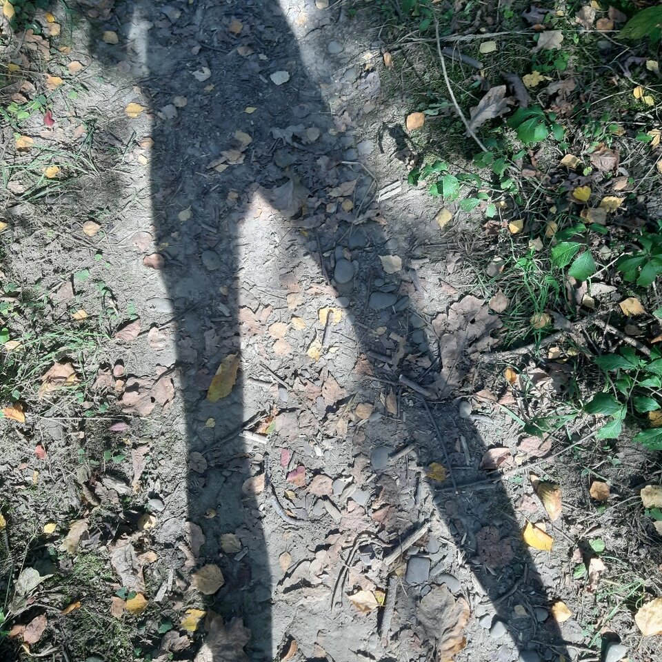 20230913_144826.jpg - Ali70plus