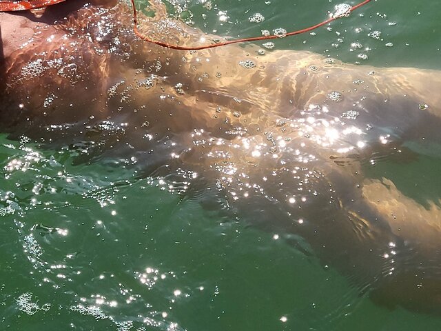 20230913_181145.jpg - piotry1900