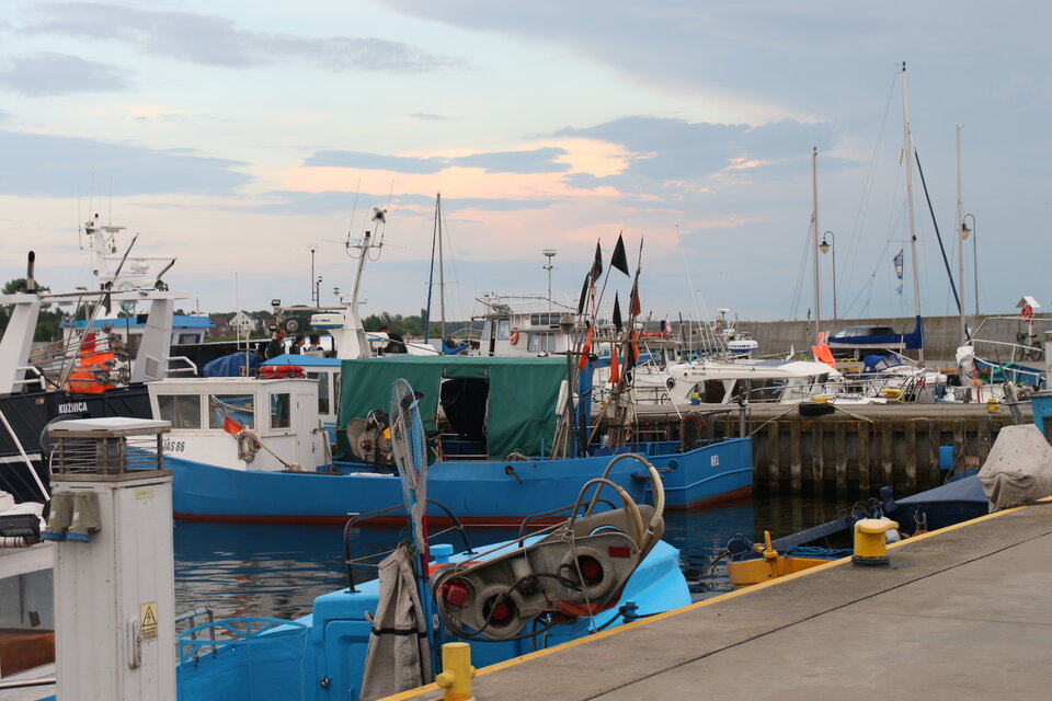 IMG_2345.JPG - galliano