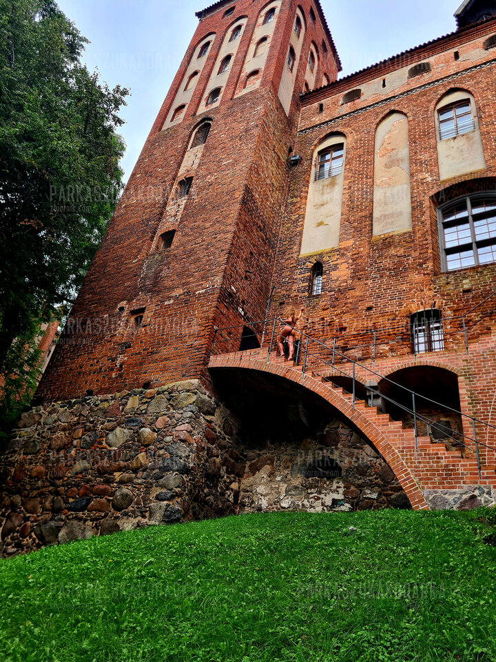 Znajdź mnie! - Parkaszukakonarka