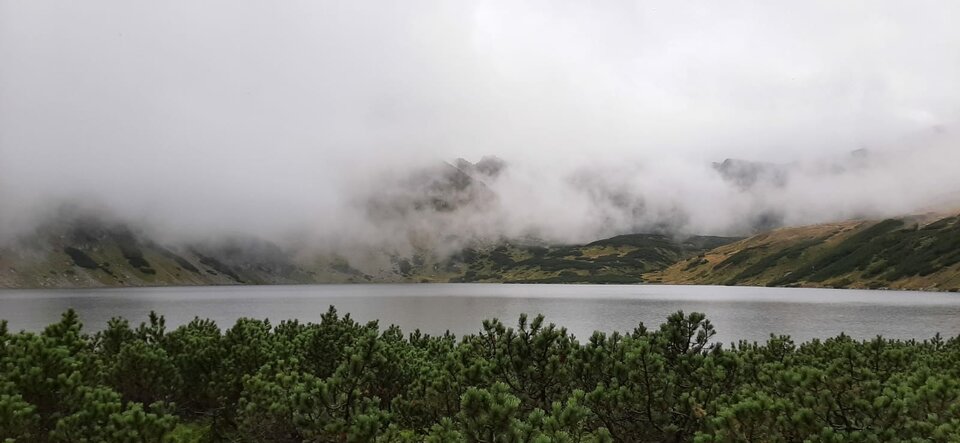 IMG-20230914-WA0113.jpg - Jeszczeniewiemyczegochcemy