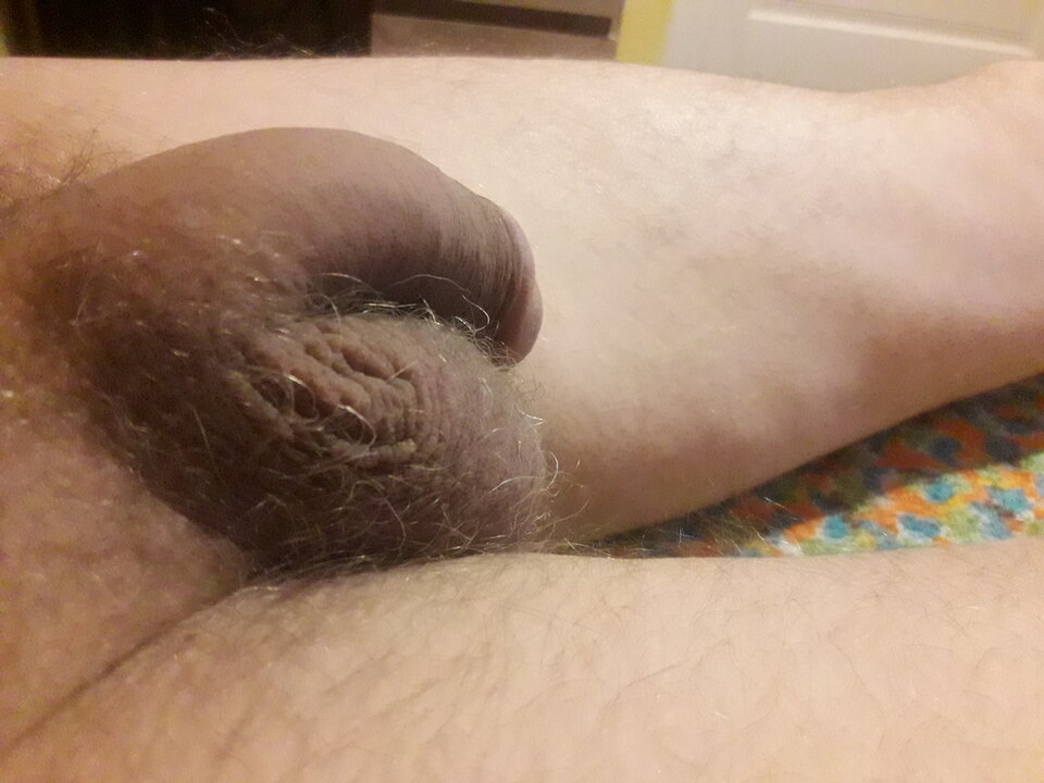 20230909_213721.jpg - brus13