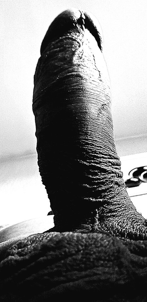 IMG-20230915-WA0024.jpeg - 1973Marcin