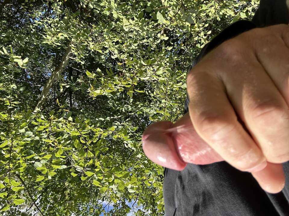 IMG_0607.jpeg - igorekkonieczny87