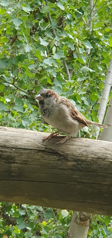 Siema robimy life? - Adminki