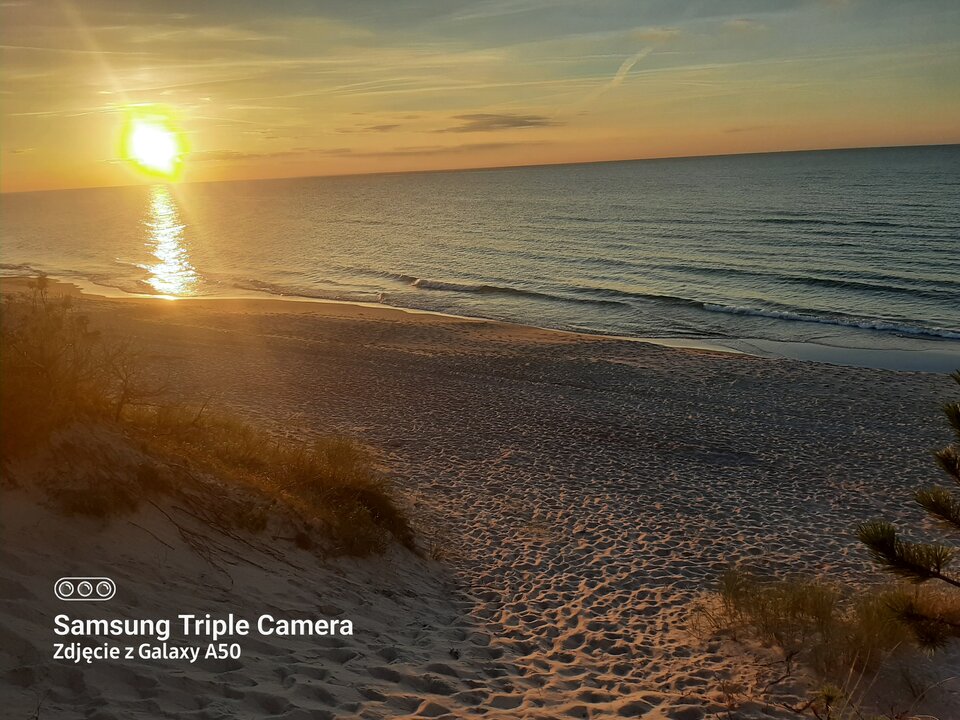 16947967773532595560575669847598.jpg - dyskretnykosz