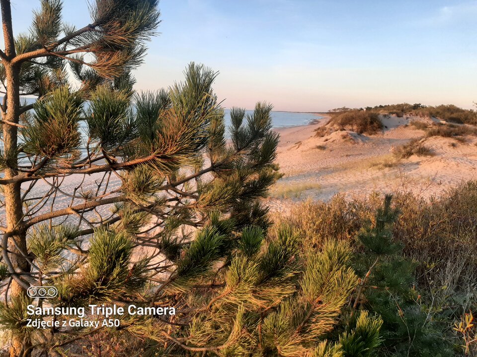 16947968476211841669923211702194.jpg - dyskretnykosz