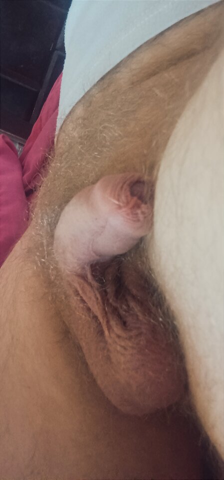 IMG_20230907_130708.jpg - Tomek698107