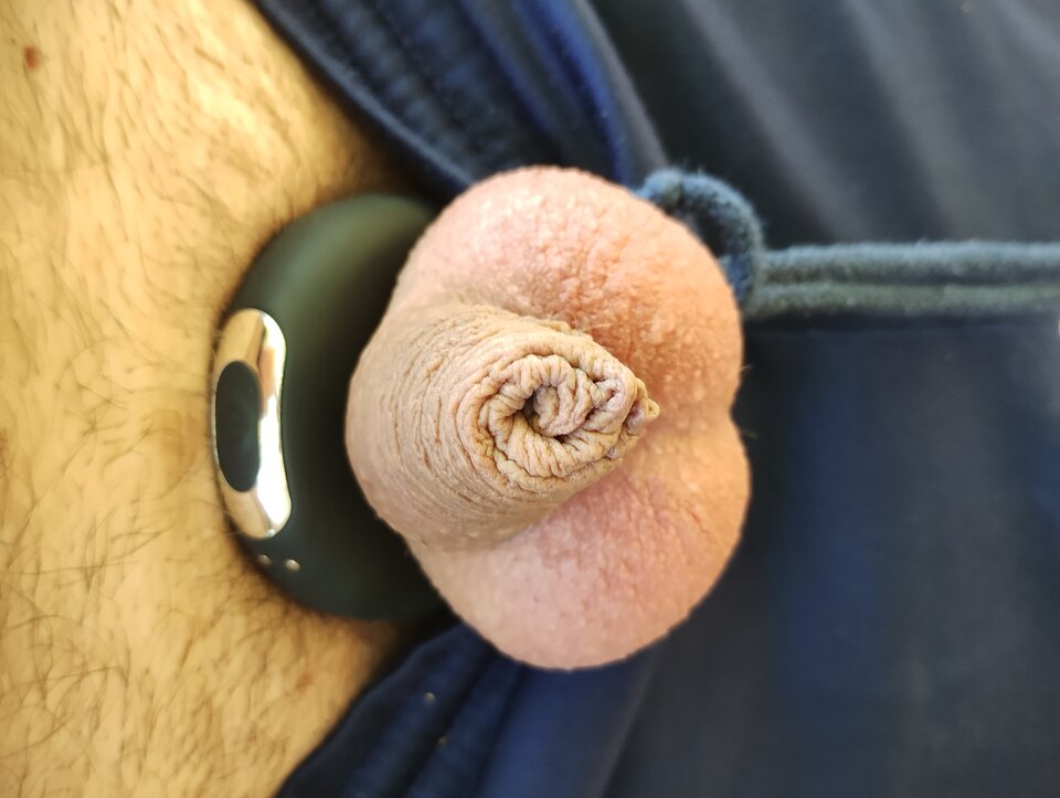 IMG_20230909_120018578.jpg - Maxi1001