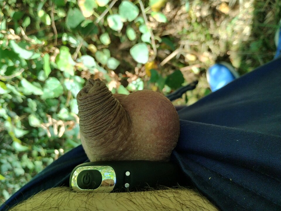 IMG_20230909_120008168_HDR.jpg - Maxi1001