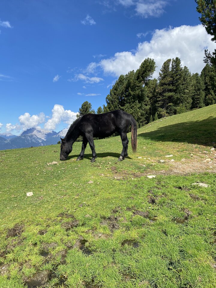 IMG_5746.jpeg - May_Day