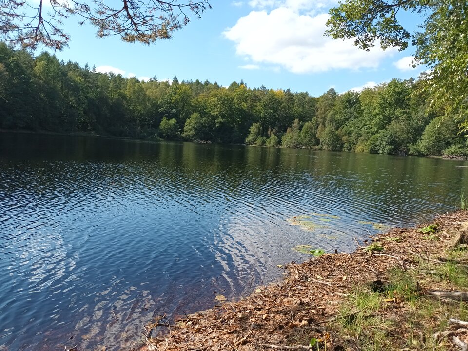 20230915_131009.jpg - 1EWELIKAR1