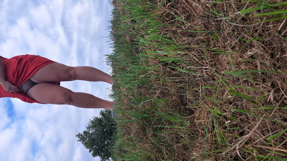 20230914_165120.jpg - fajnapara19800