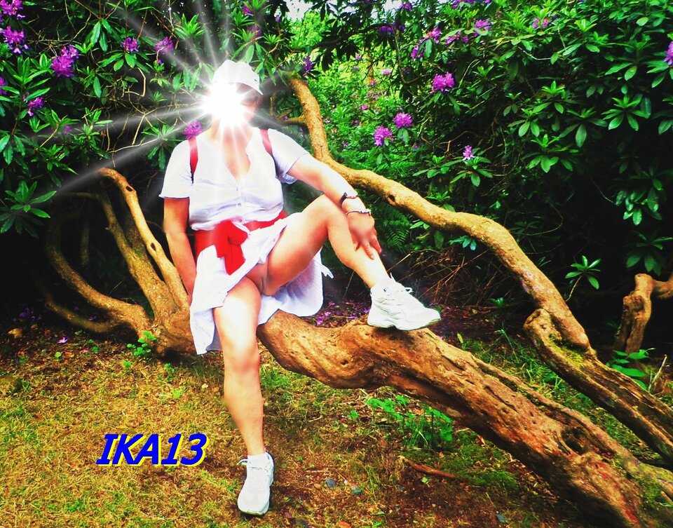 SAM_1323a.jpg - ika13