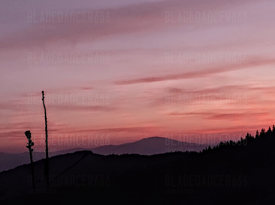 IMG_20230909_193542860~2.jpg - Bladedancer666