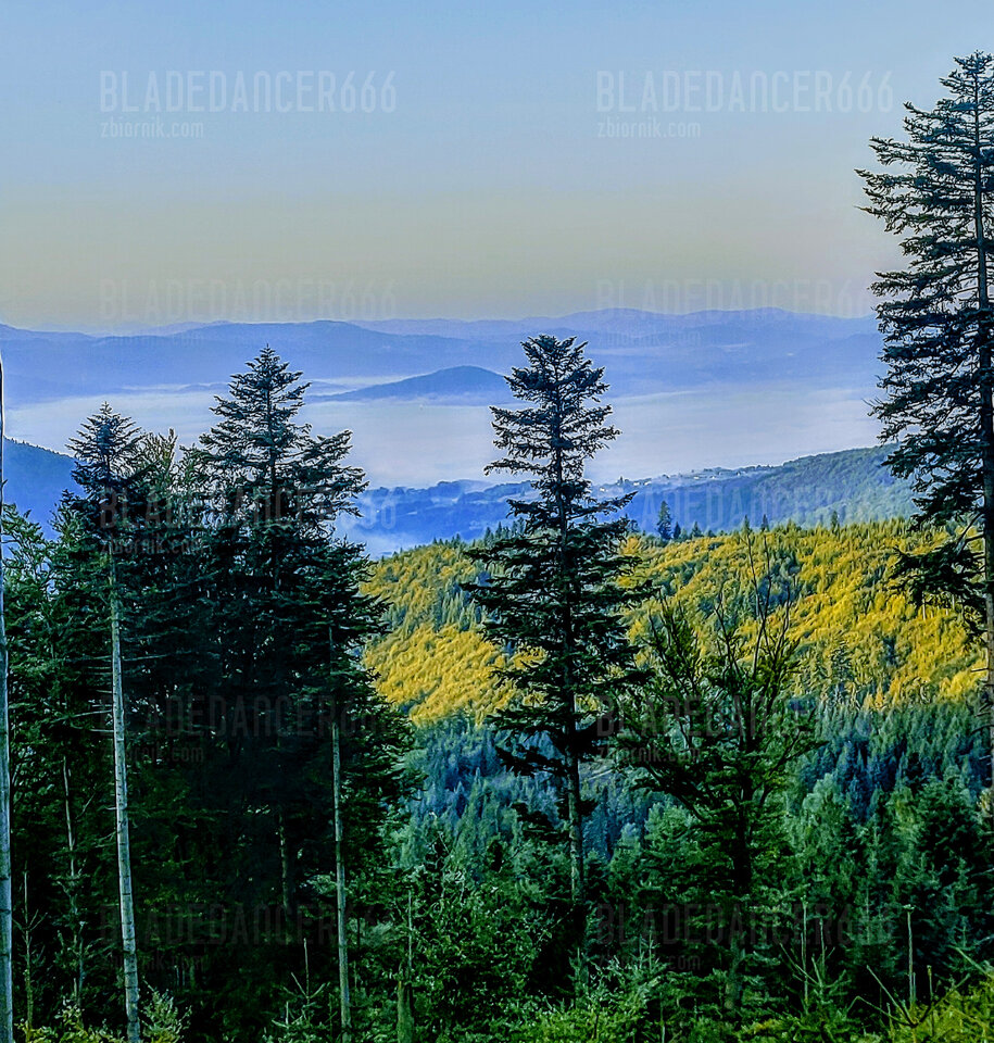 IMG_20230910_064903559_HDR~2.jpg - Bladedancer666