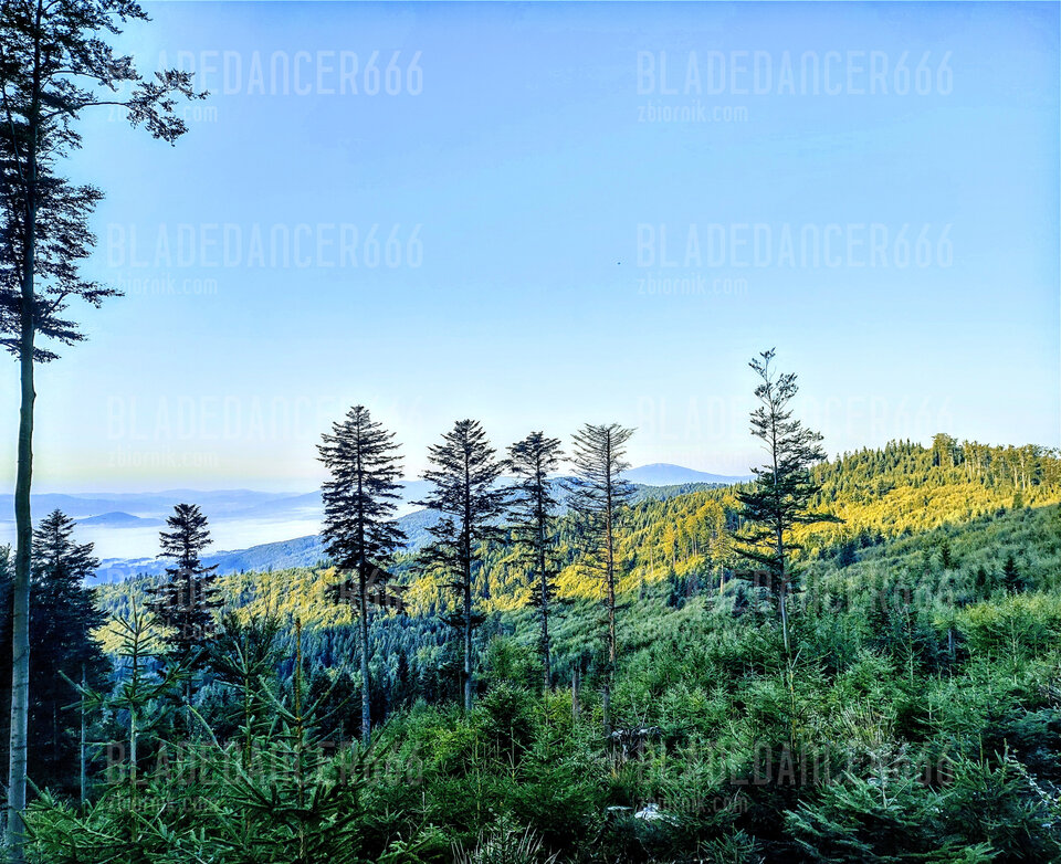 IMG_20230910_064619402_HDR~2.jpg - Bladedancer666