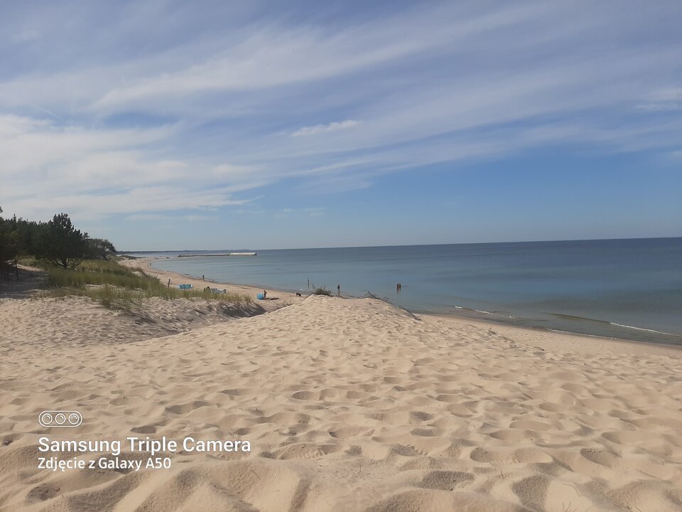 16948616758508182353288322754941.jpg - dyskretnykosz