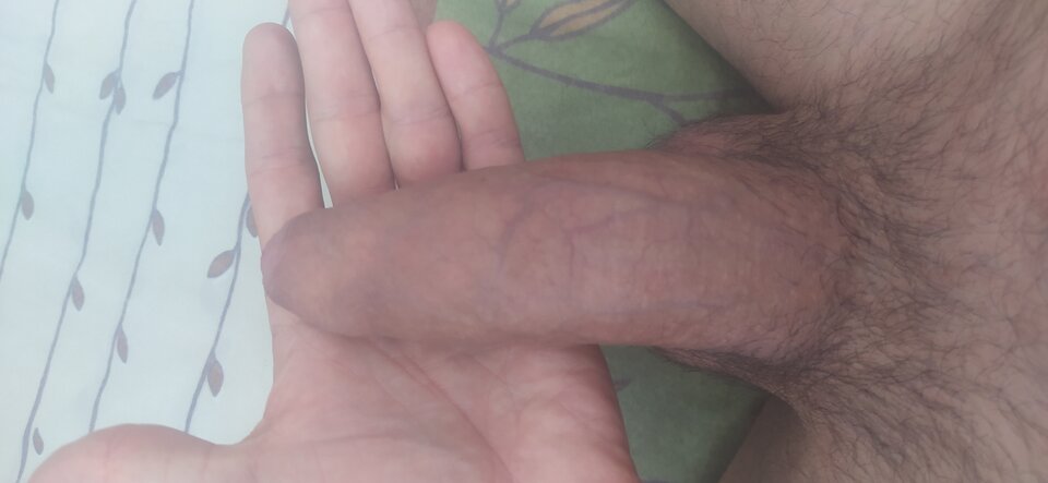 IMG_20230916_133927.jpg - Alex08528