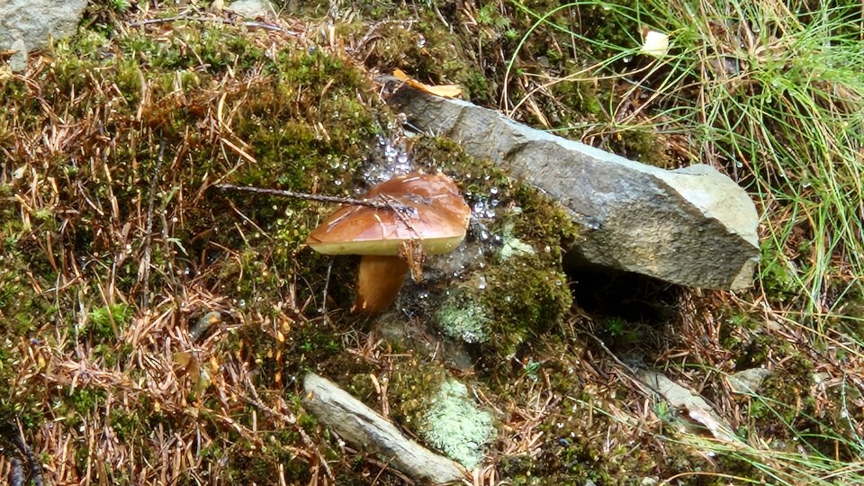 20230914_152029.jpg - Impulss_y