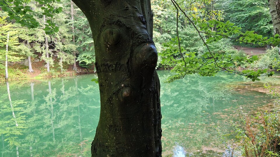 20230914_154546.jpg - Impulss_y