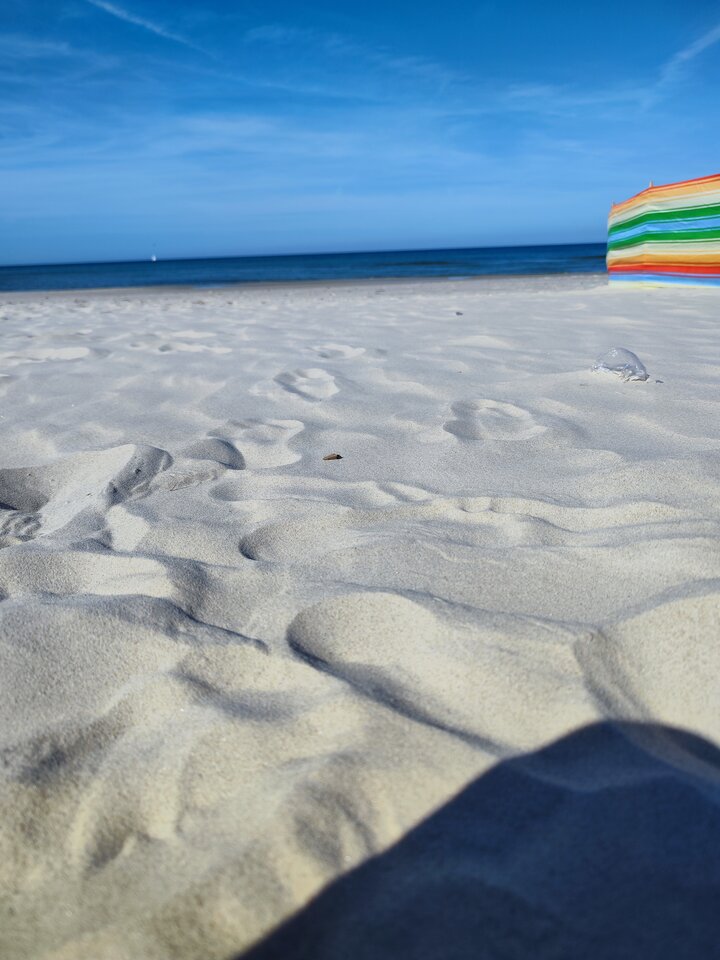 IMG_20230916_140650.jpg - CiekawaParaWaW